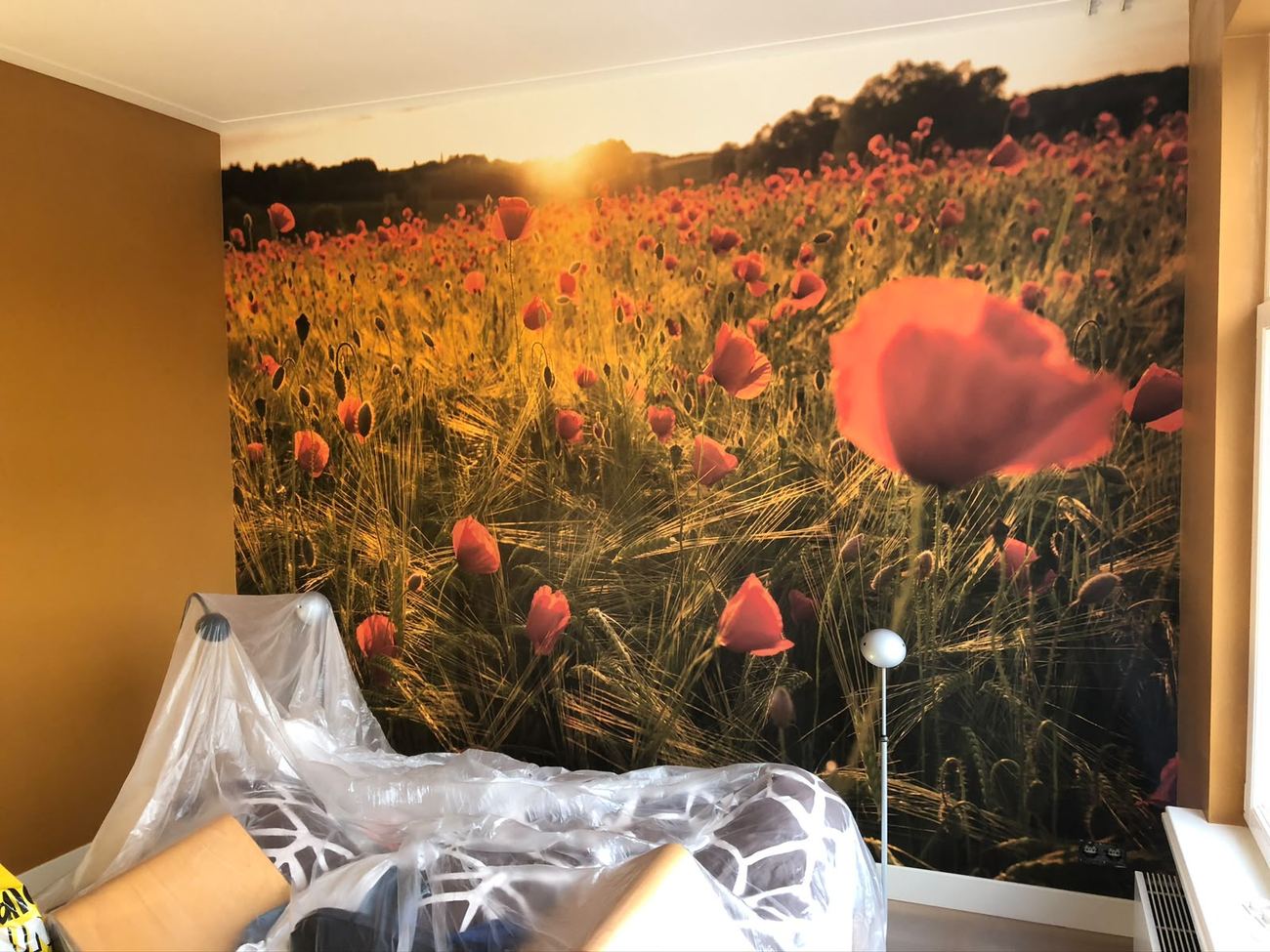 Fotobehang met een papavervelden landschap